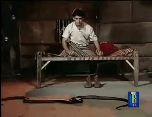 CinemaChaat_Tum Mere Ho_snake fight