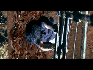 Real or hallucinations?