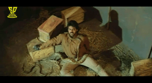 Bobbili Raja-Snakes alive