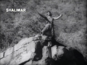 Jagadeka-Veeruni-Katha-wild with grief